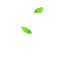 Next Journey Spa